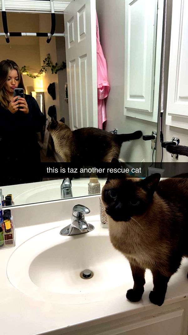 fionamaefit image ~ Altpins