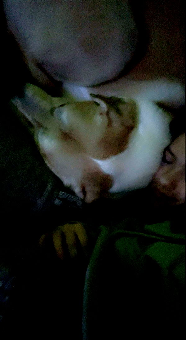 fionamaefit image ~ Altpins