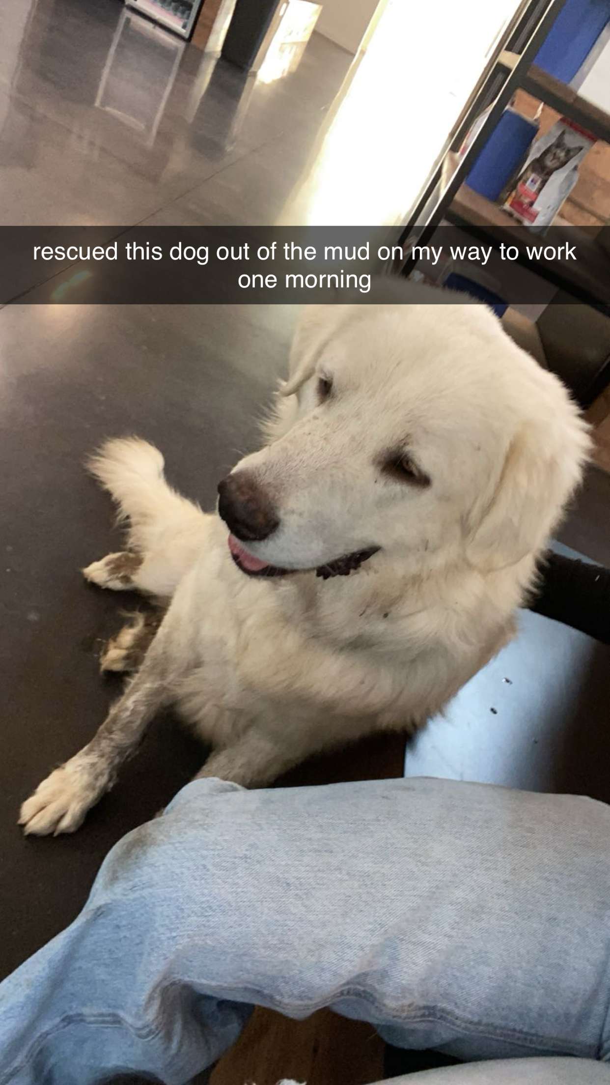 fionamaefit snapchat image archive image