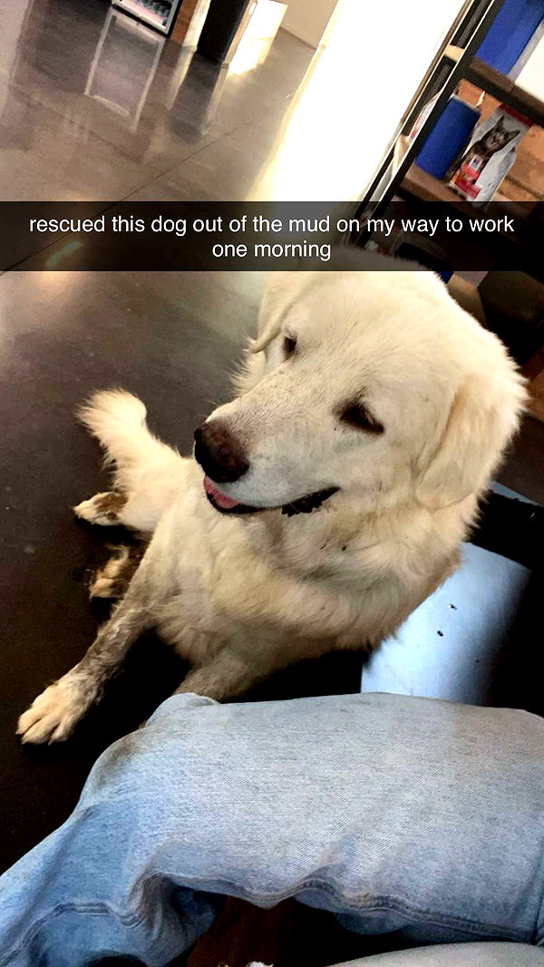 fionamaefit image ~ Altpins