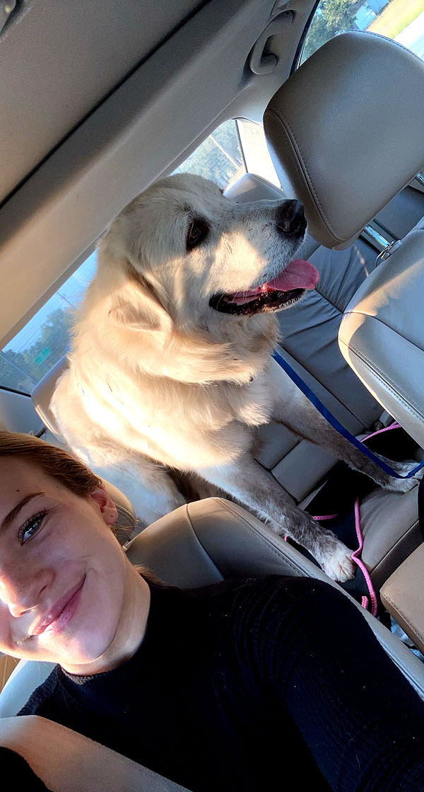 fionamaefit image ~ Altpins