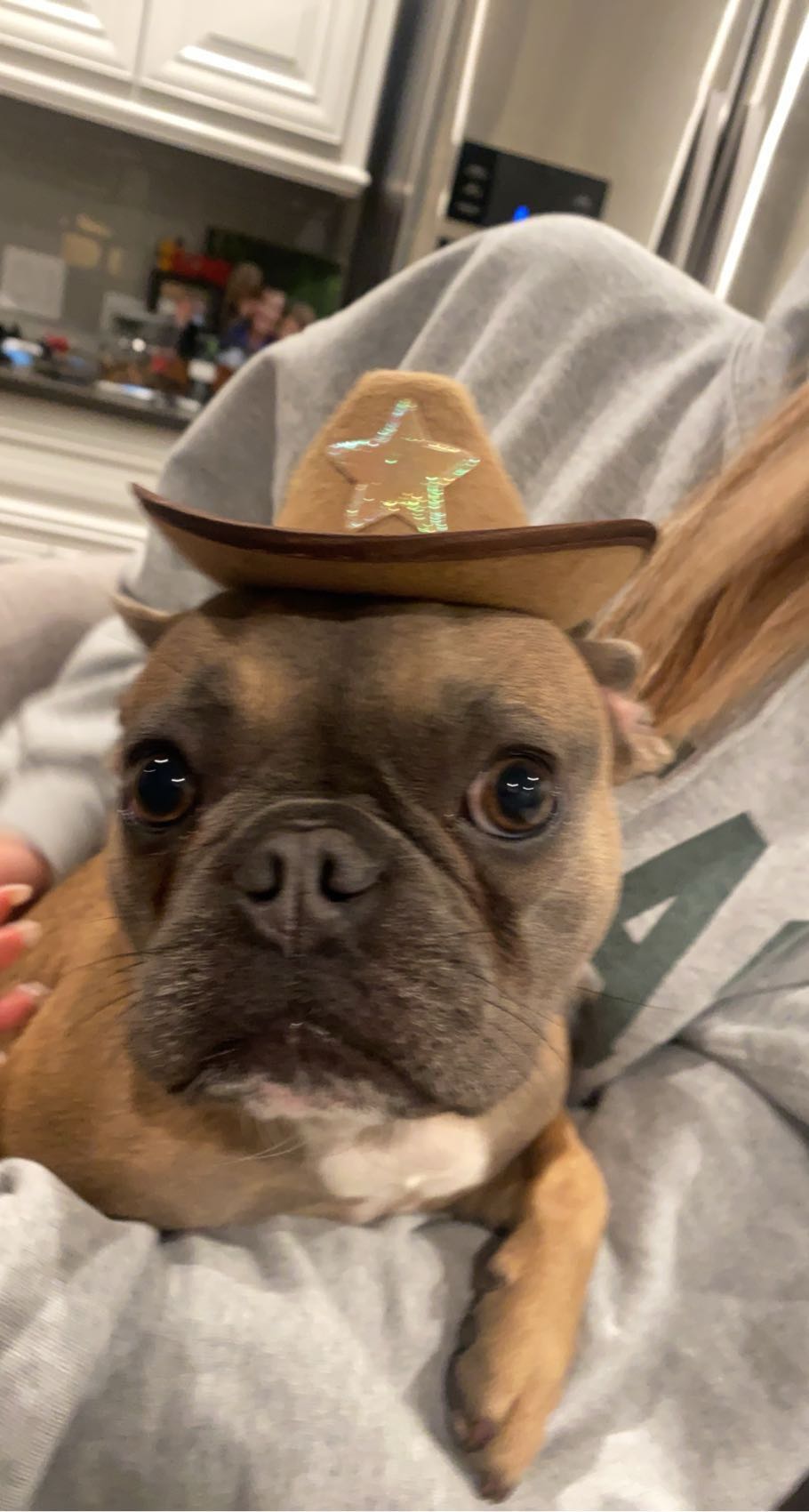 fionamaefit snapchat image archive image