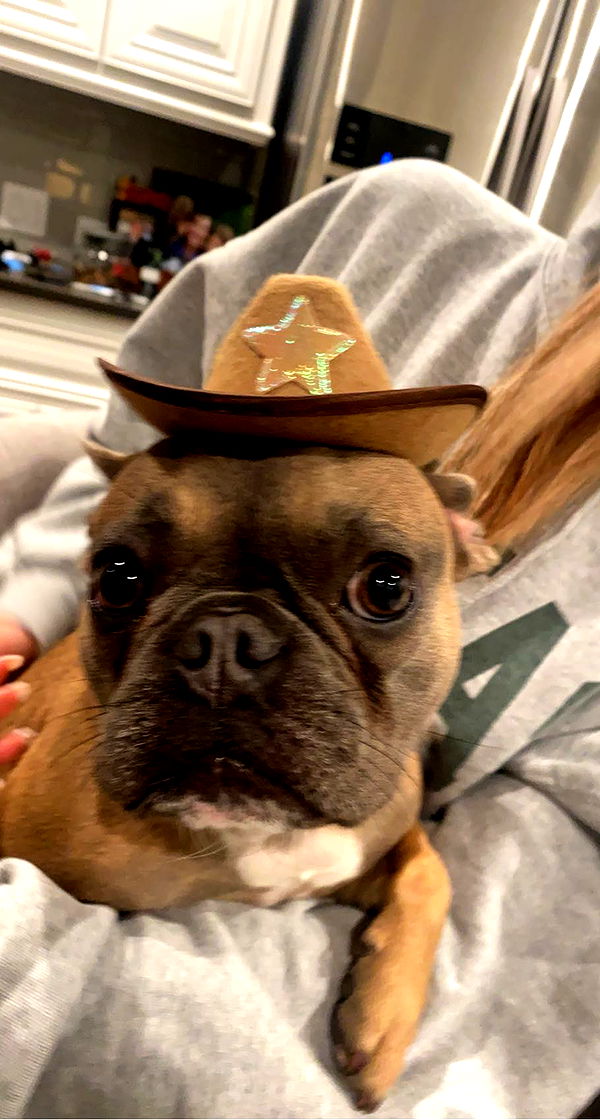 fionamaefit image ~ Altpins