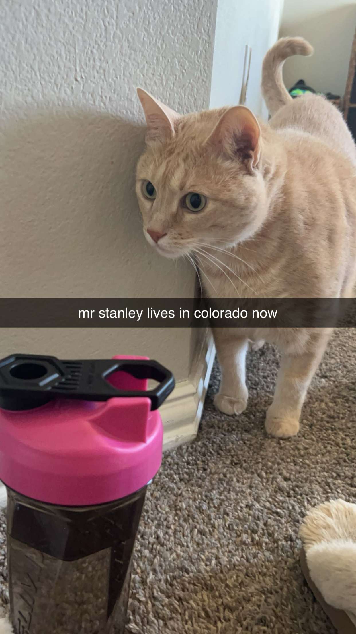 fionamaefit snapchat image archive image