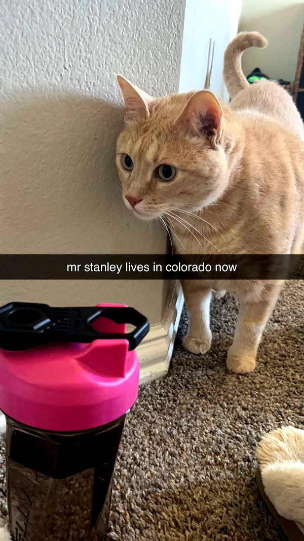 fionamaefit image ~ Altpins