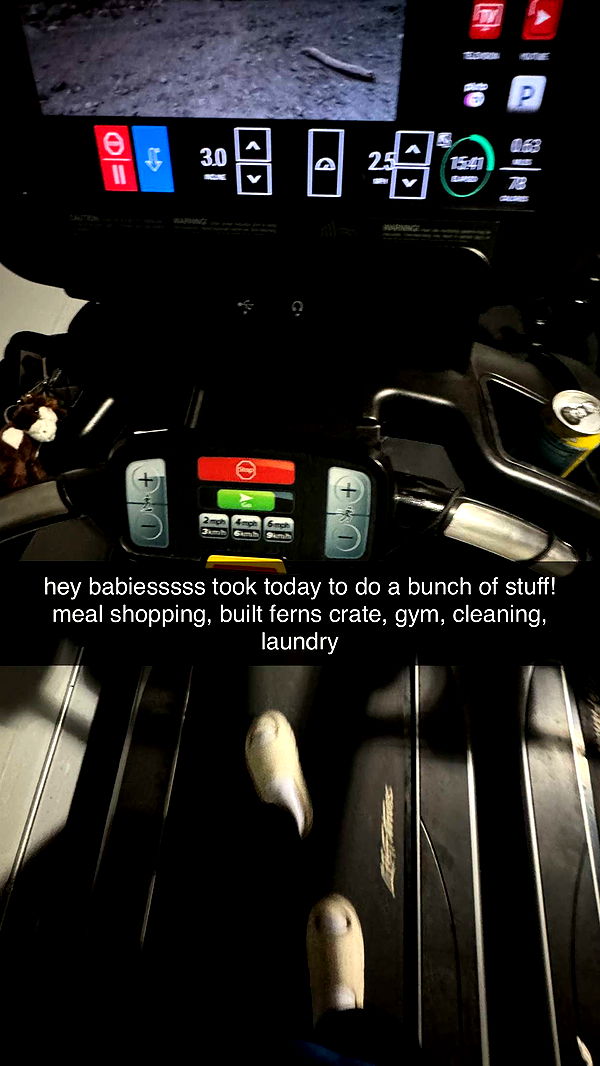 fionamaefit image ~ Altpins