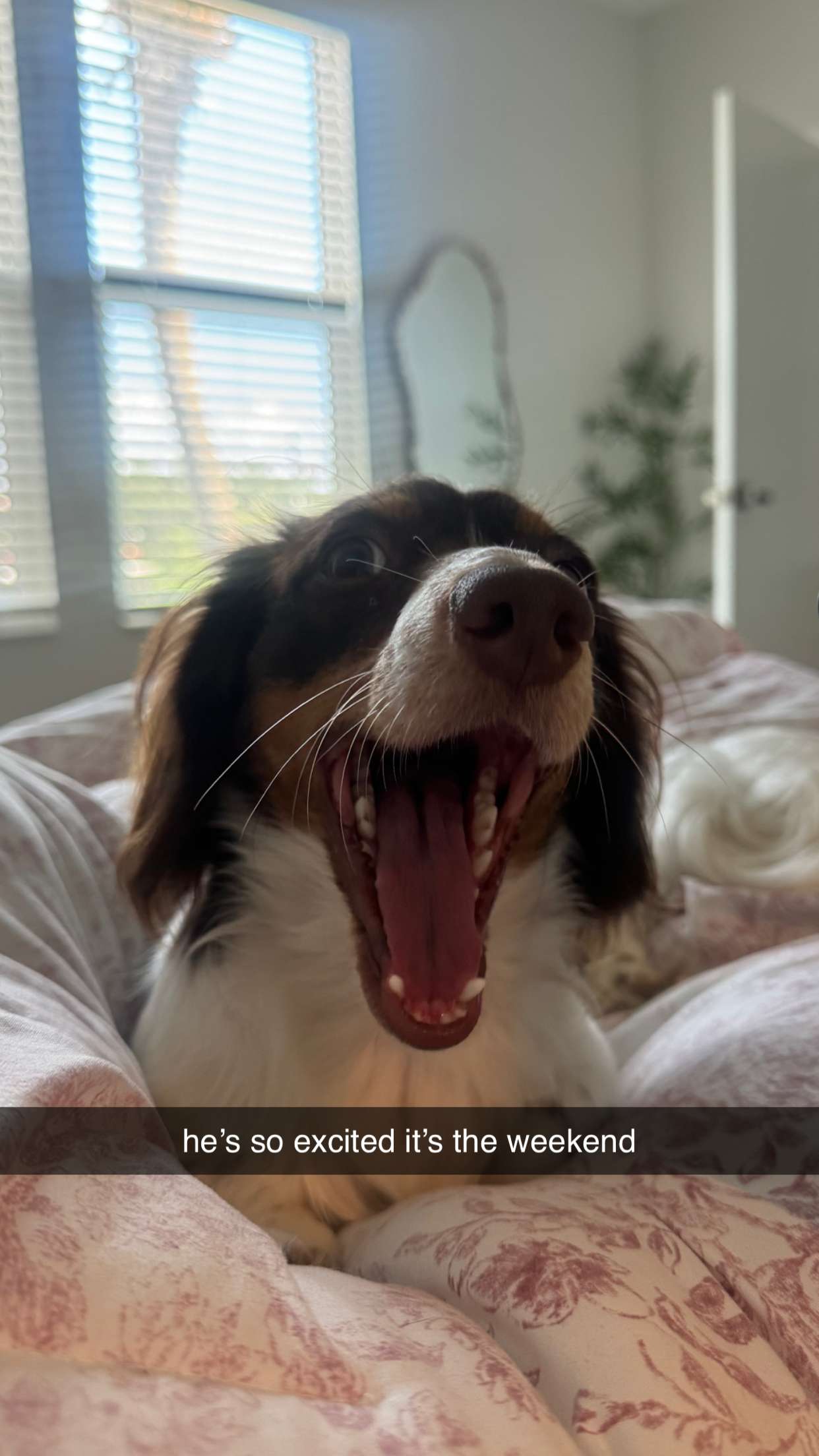 fionamaefit snapchat image archive image