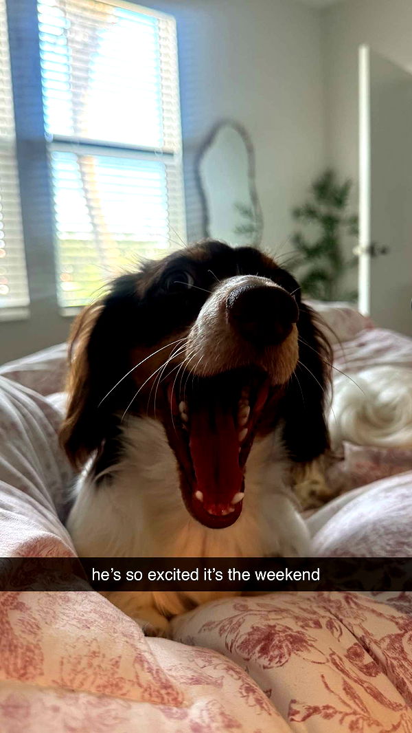 fionamaefit image ~ Altpins