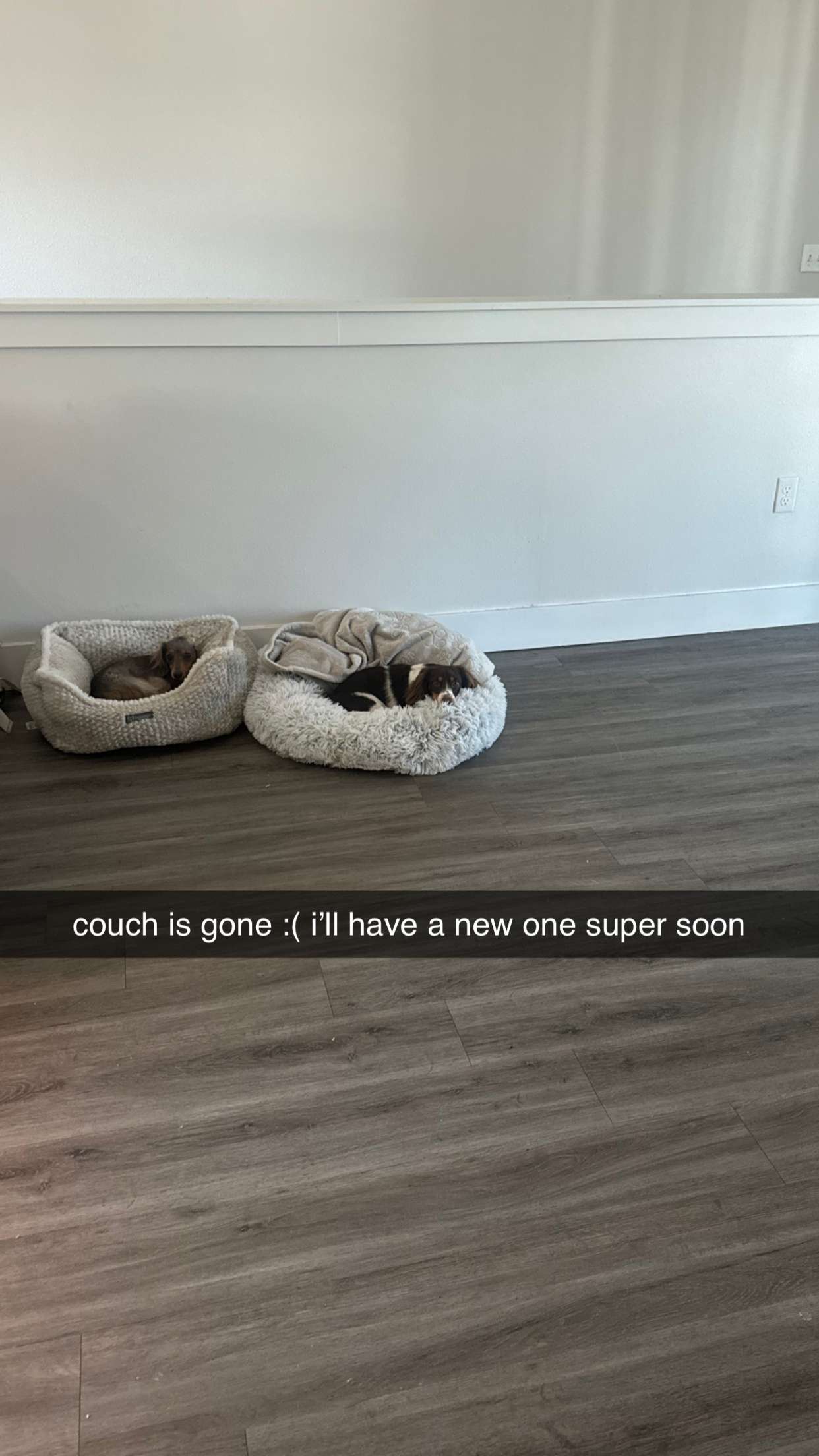 fionamaefit snapchat image archive image