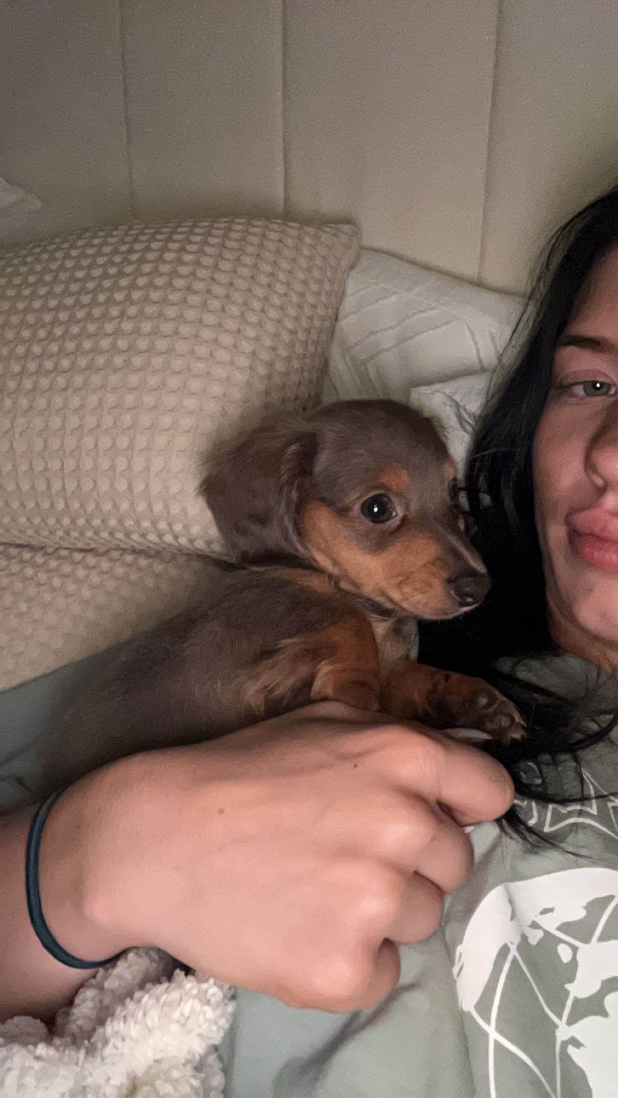 fionamaefit snapchat image archive image