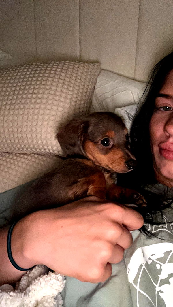 fionamaefit image ~ Altpins