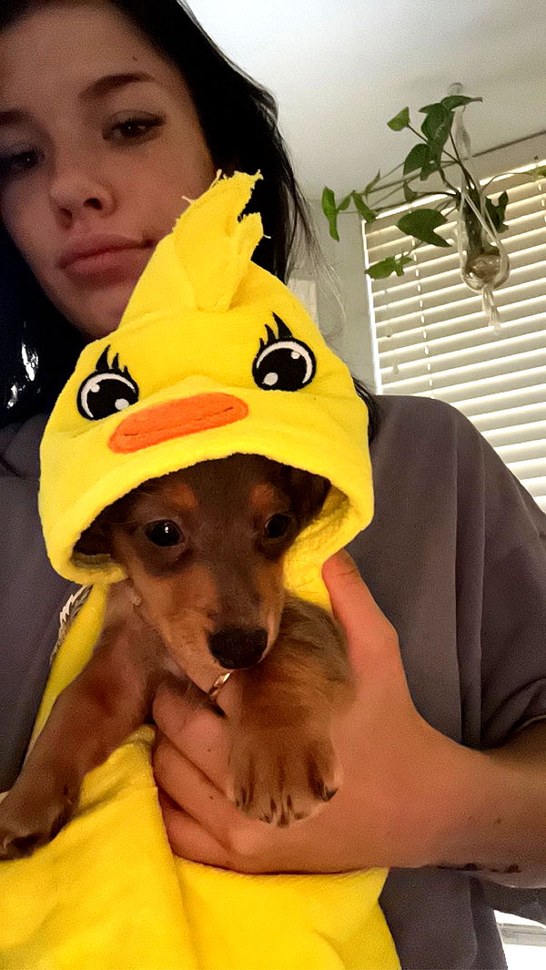 fionamaefit image ~ Altpins