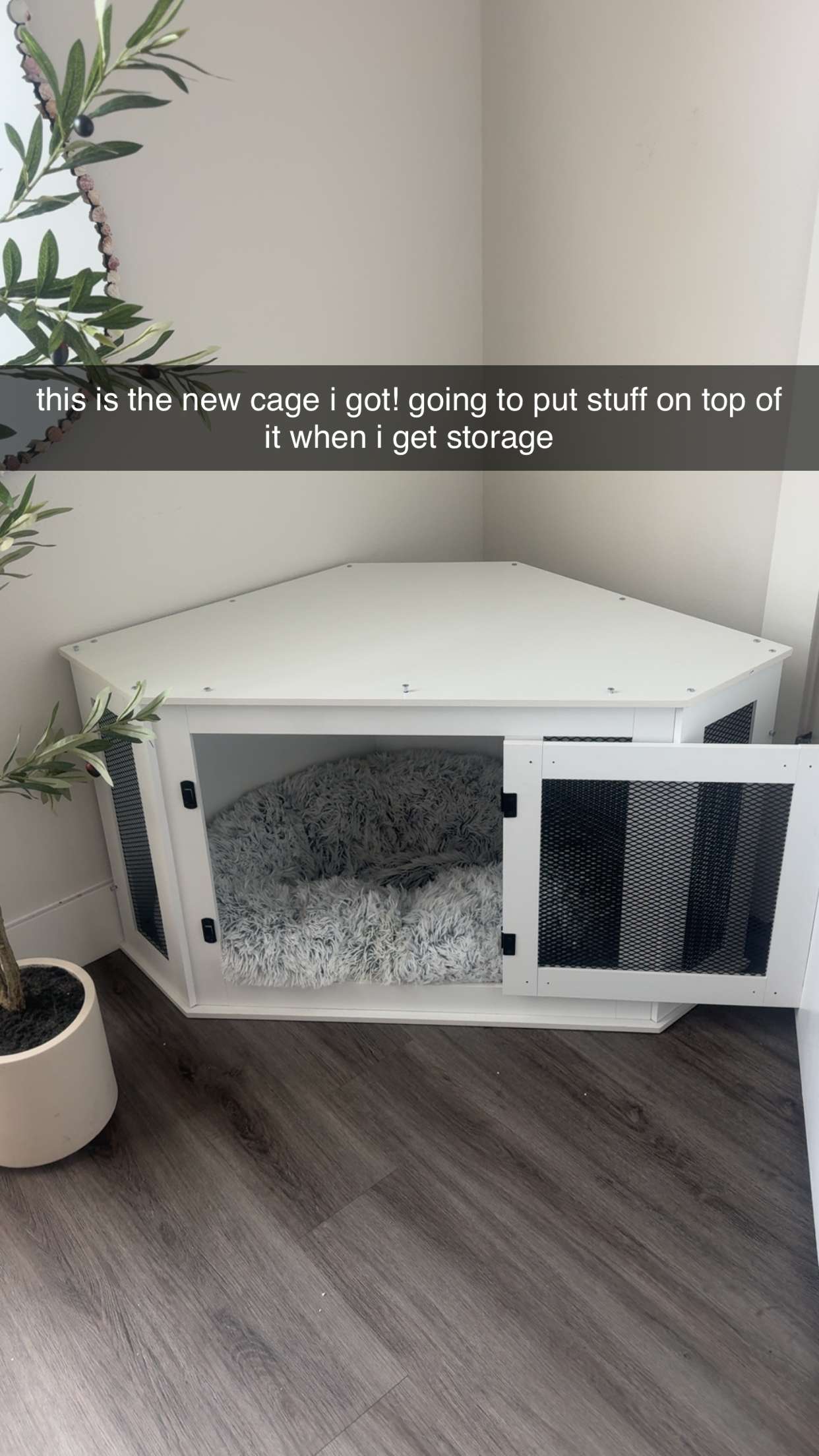 fionamaefit snapchat image archive image