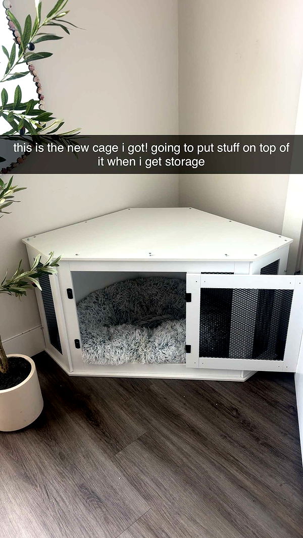 fionamaefit image ~ Altpins