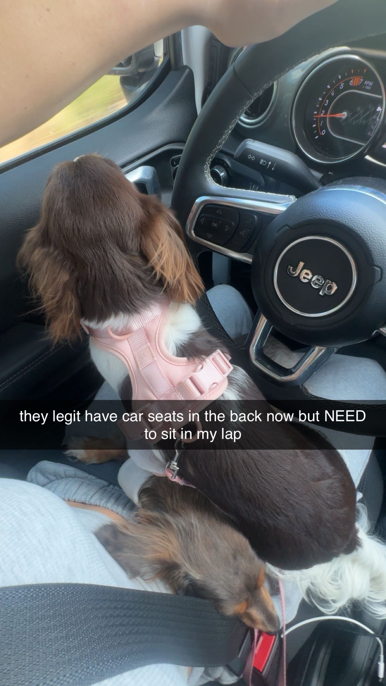 fionamaefit snapchat image archive image