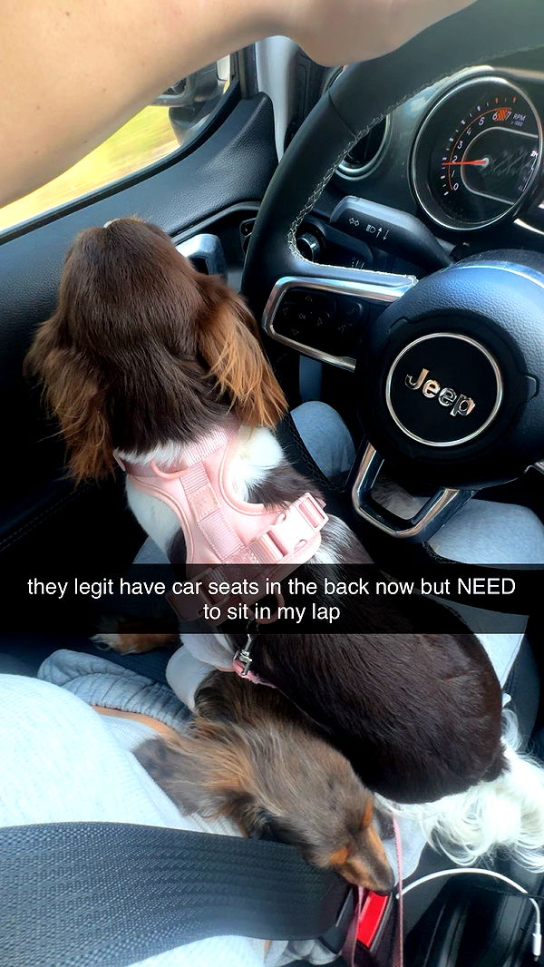 fionamaefit image ~ Altpins