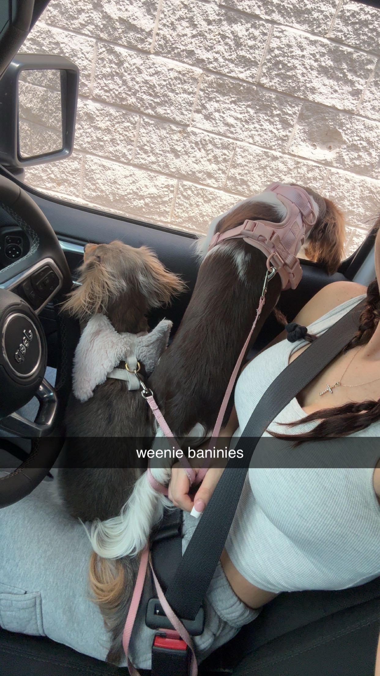 fionamaefit snapchat image archive image