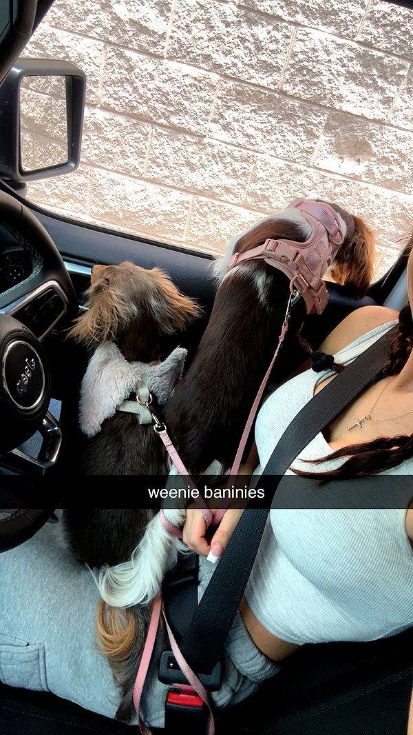 fionamaefit image ~ Altpins