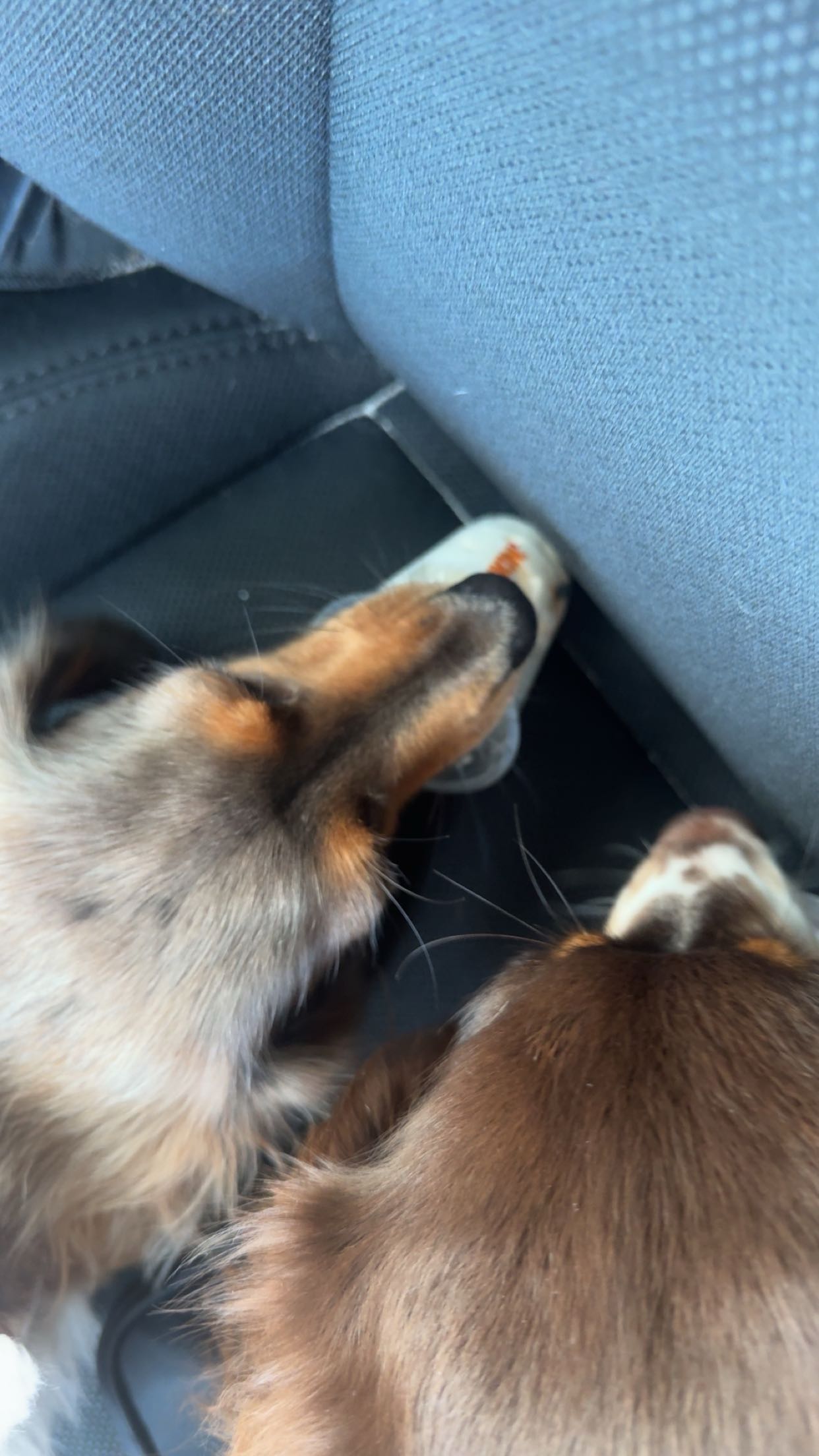 fionamaefit snapchat image archive image