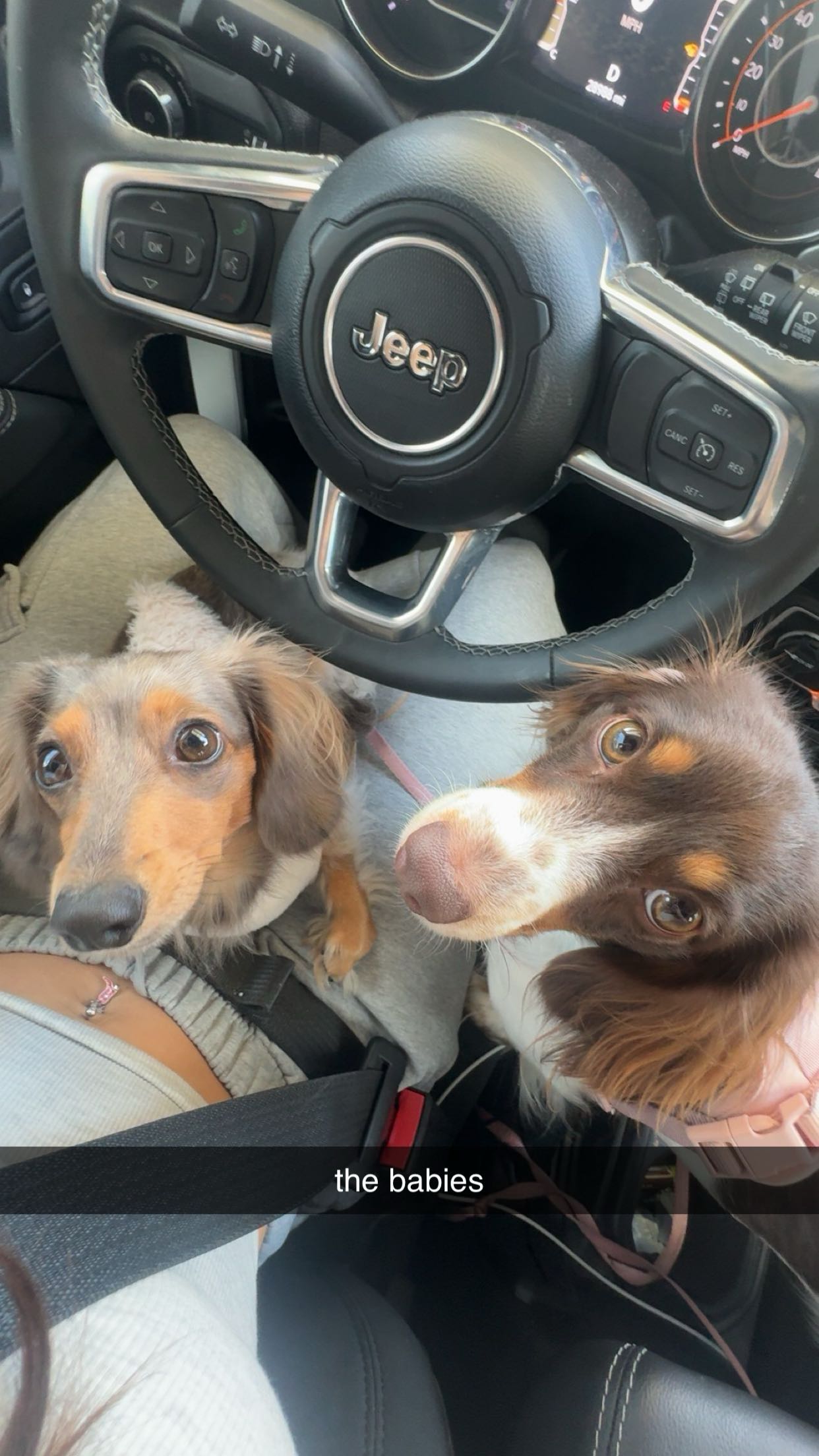 fionamaefit snapchat image archive image