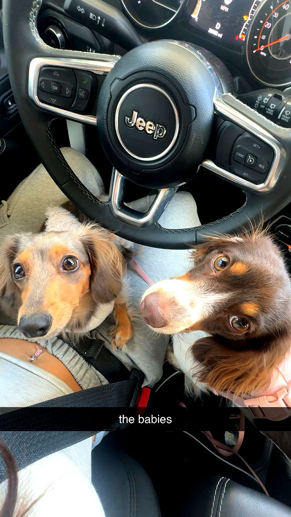 fionamaefit image ~ Altpins