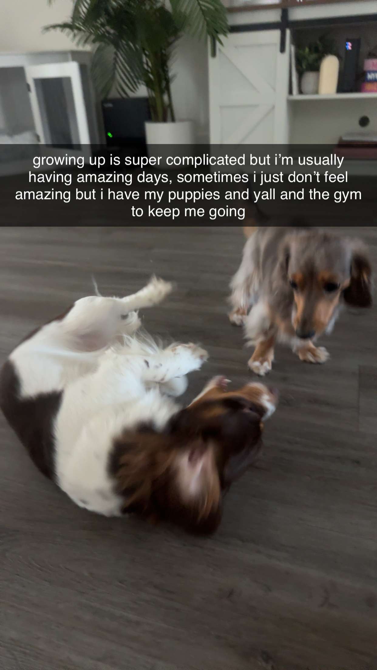 fionamaefit snapchat image archive image