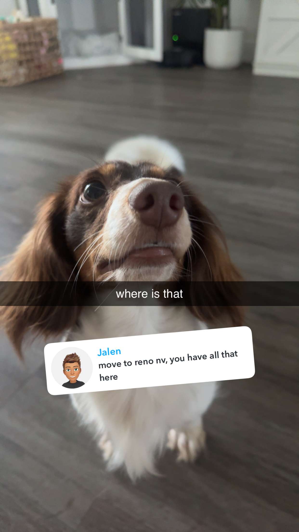 fionamaefit snapchat image archive image