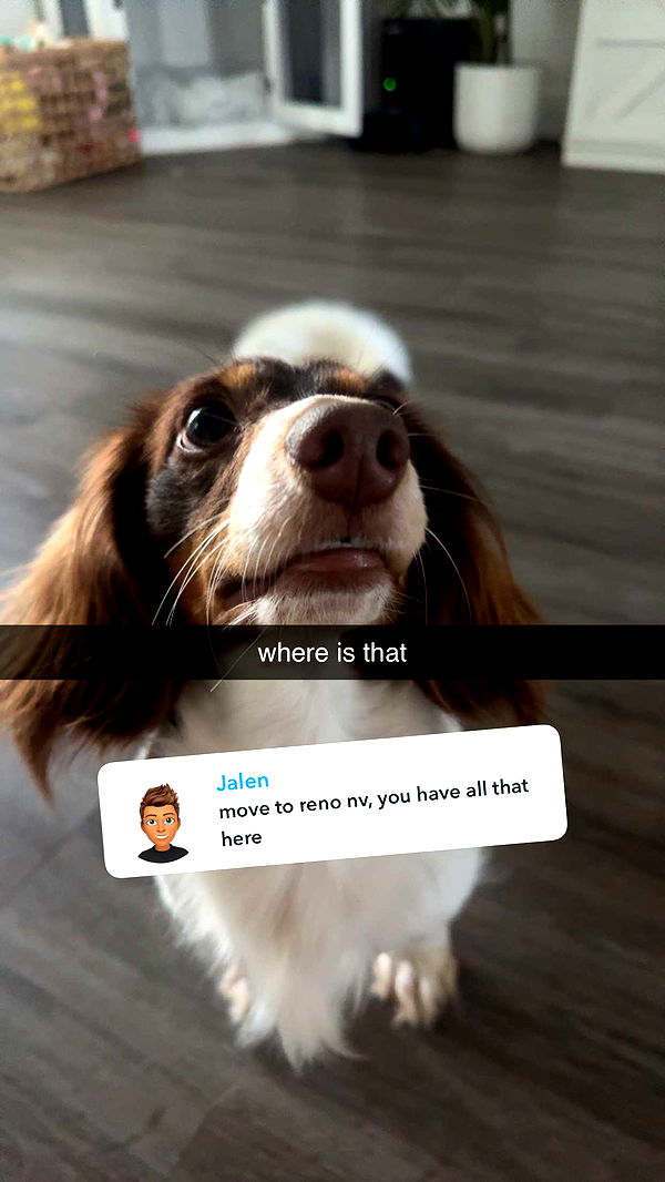 fionamaefit image ~ Altpins