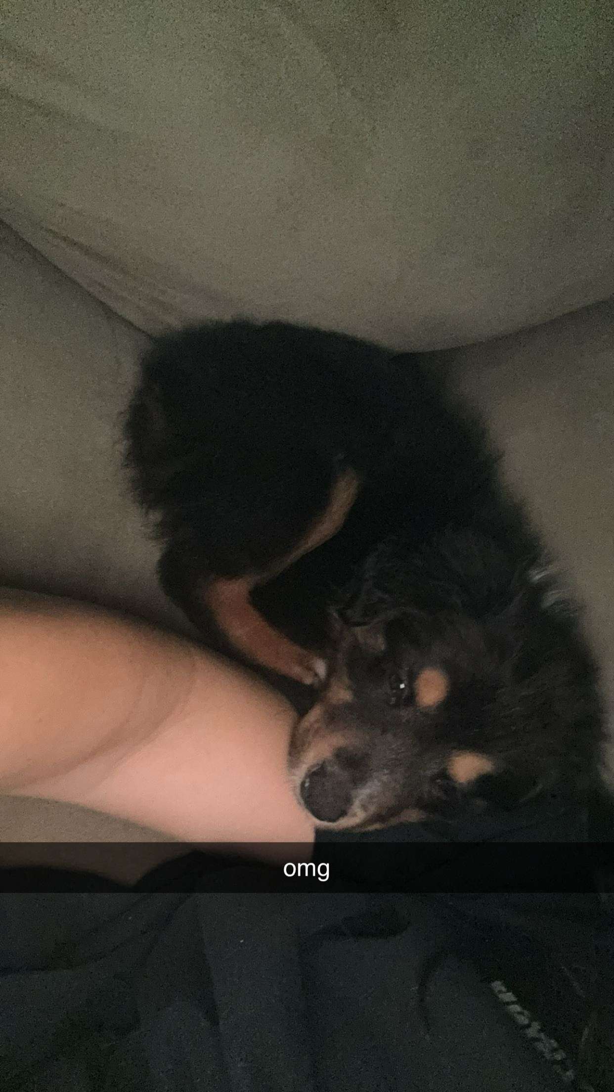 fionamaefit snapchat image archive image