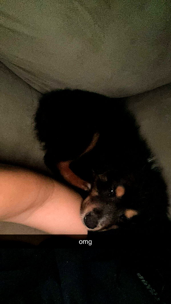 fionamaefit image ~ Altpins