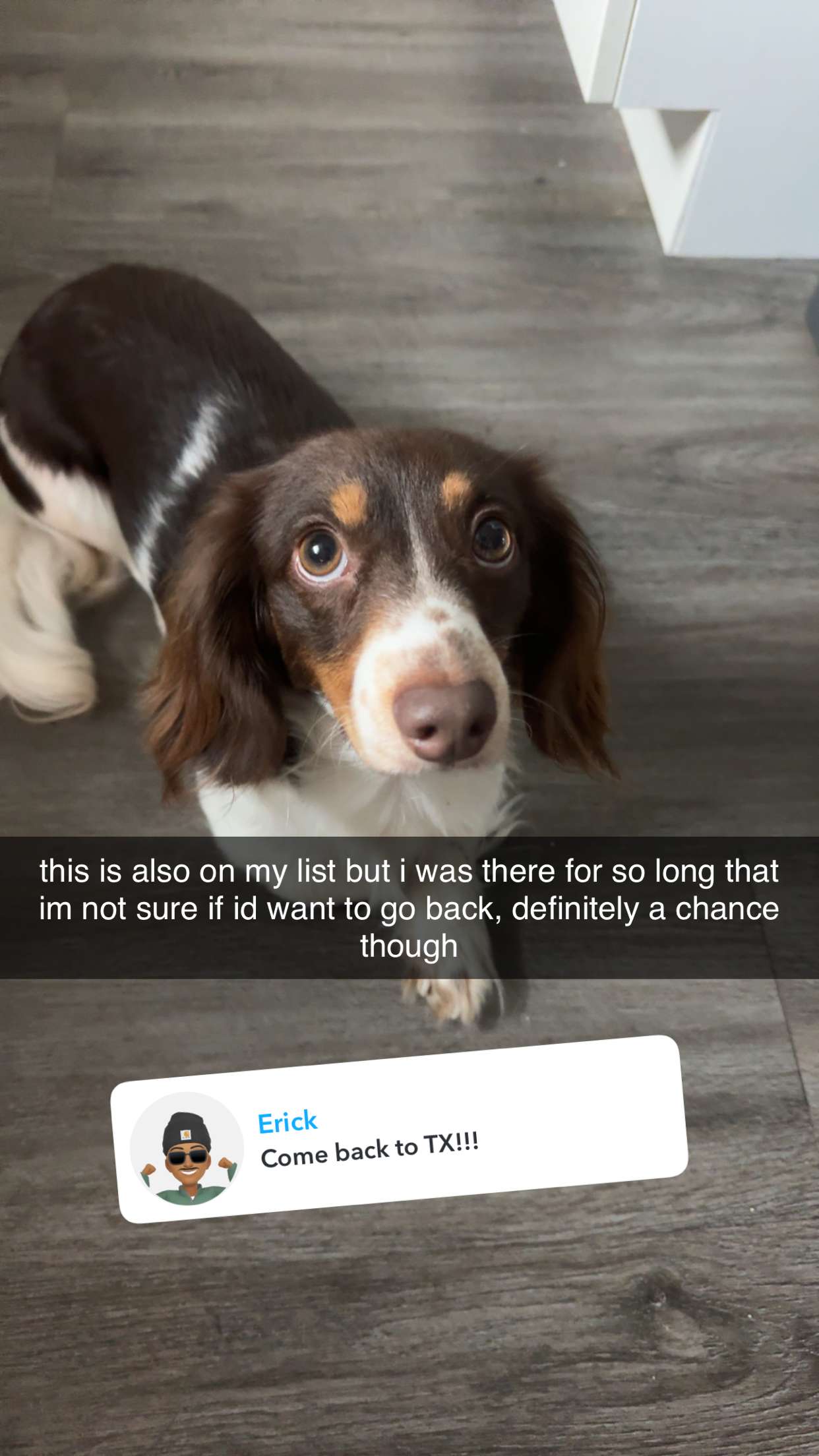 fionamaefit snapchat image archive image