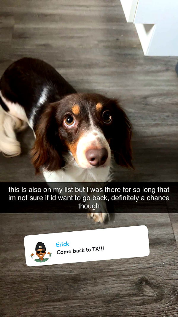 fionamaefit image ~ Altpins