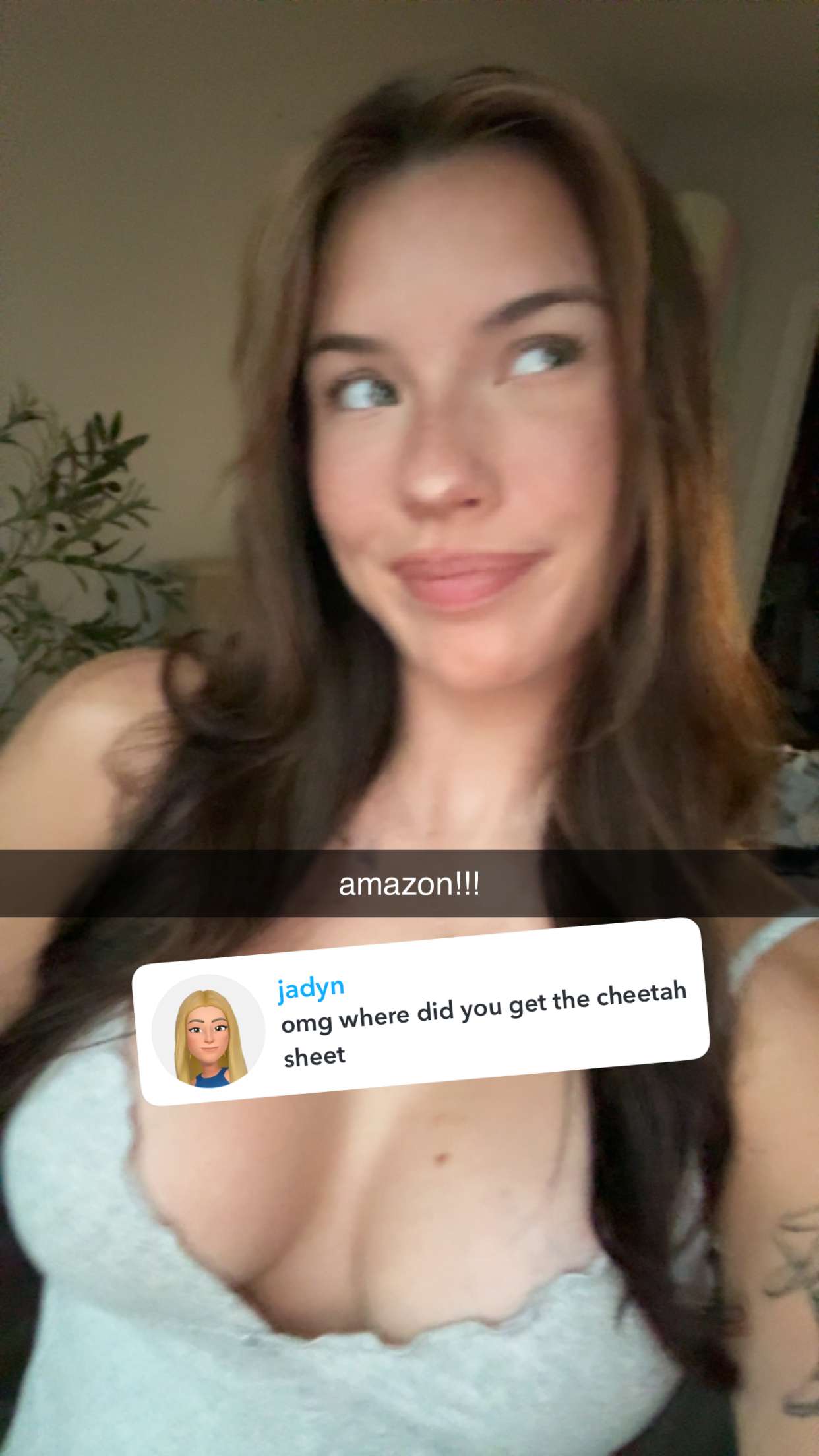 fionamaefit snapchat image archive image