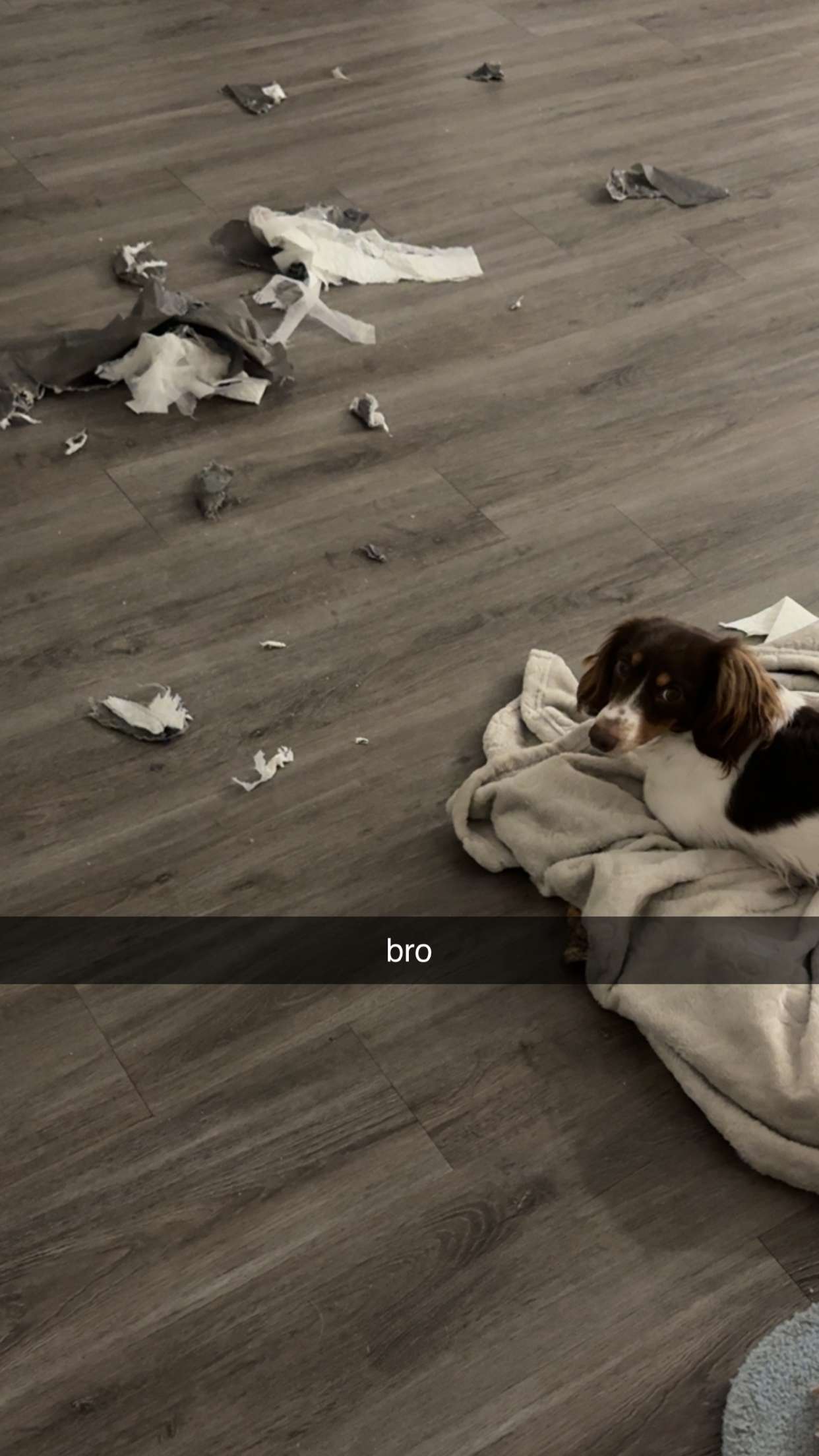 fionamaefit snapchat image archive image