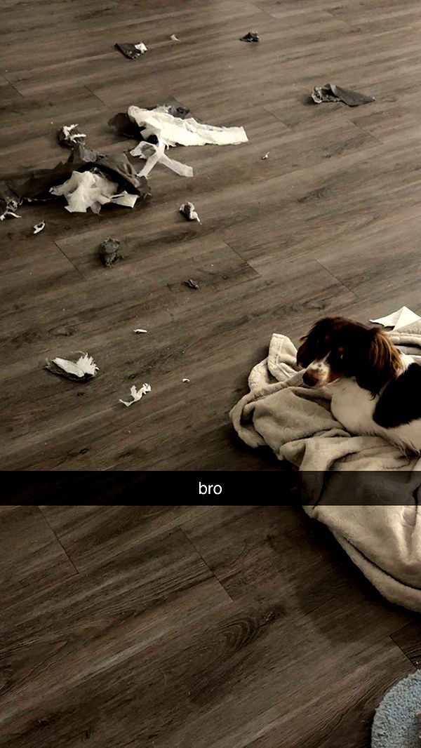 fionamaefit image ~ Altpins