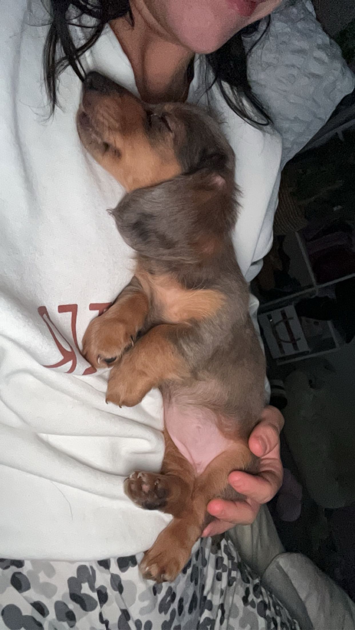 fionamaefit snapchat image archive image