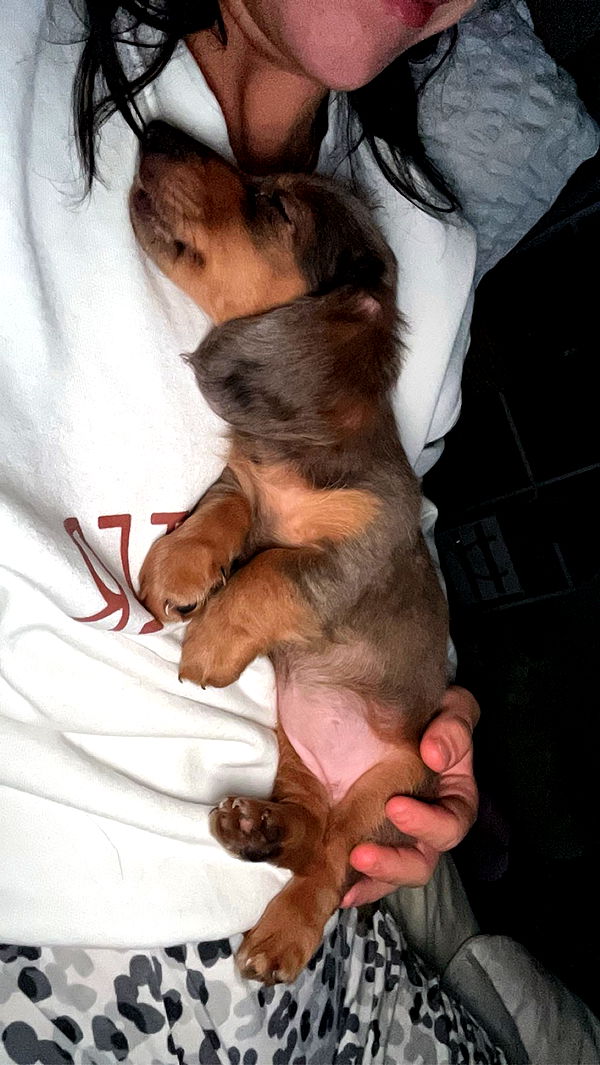 fionamaefit image ~ Altpins