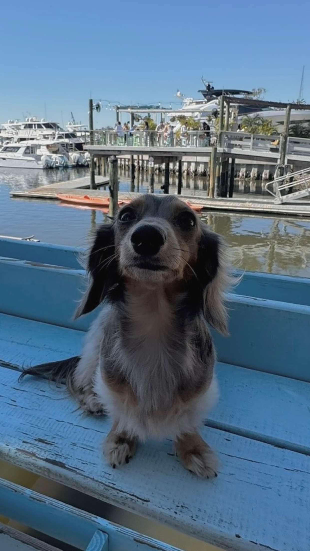 fionamaefit snapchat image archive image