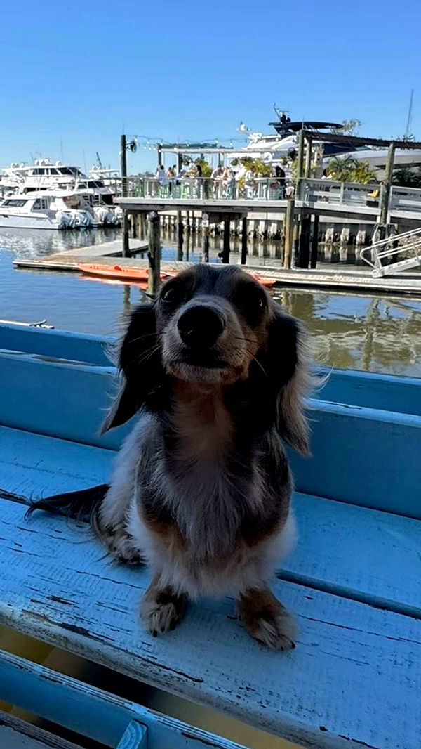 fionamaefit image ~ Altpins