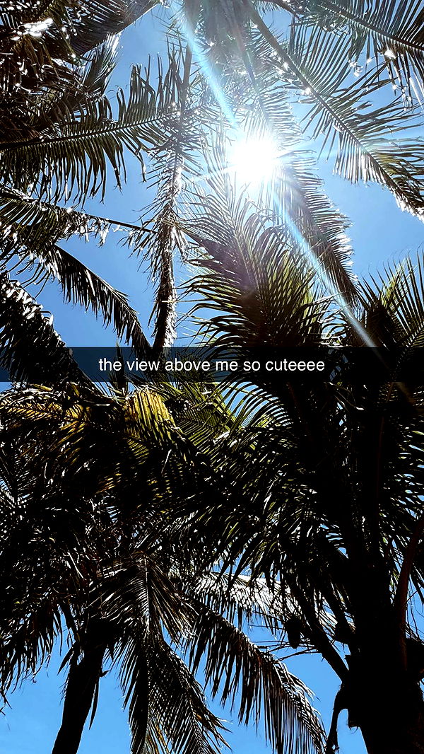 fionamaefit image ~ Altpins