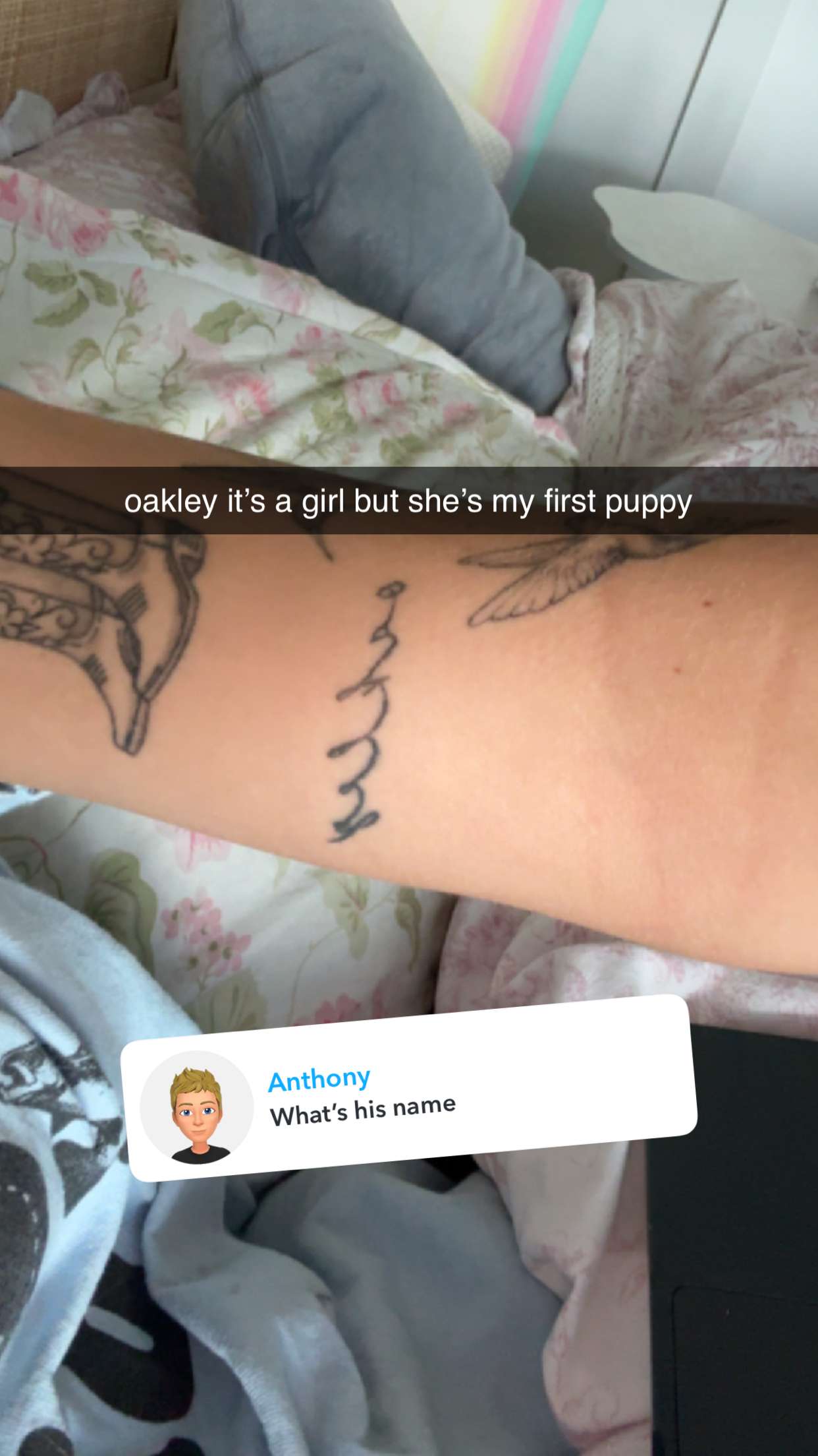 fionamaefit snapchat image archive image