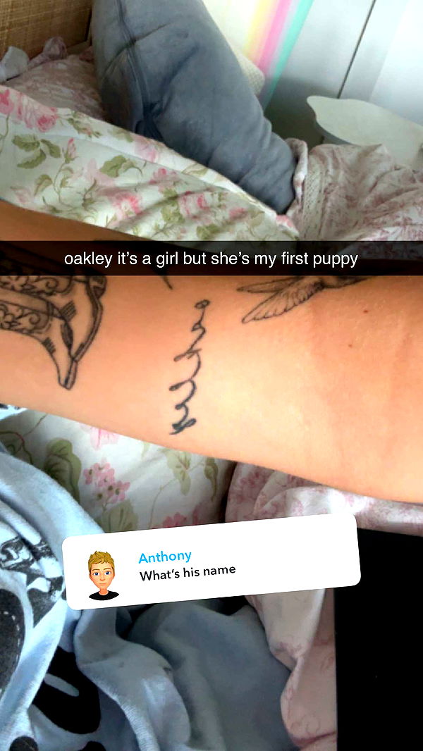 fionamaefit image ~ Altpins