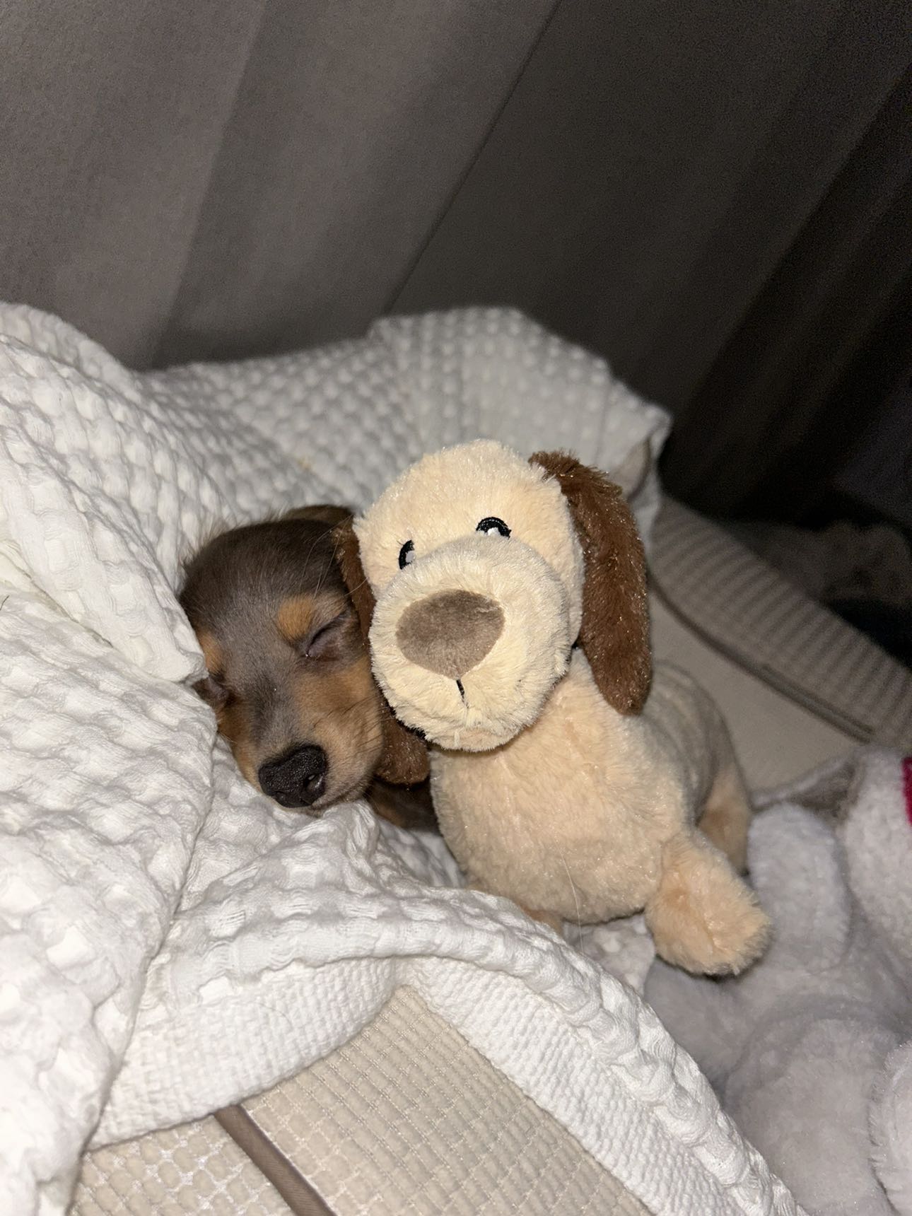 fionamaefit snapchat image archive image