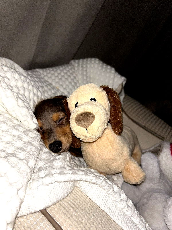 fionamaefit image ~ Altpins