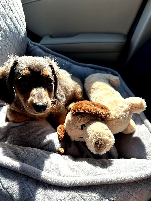 fionamaefit image ~ Altpins