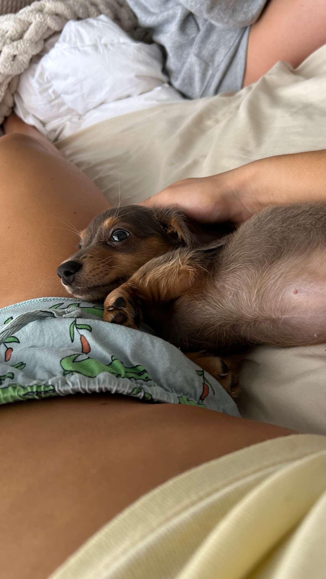 fionamaefit snapchat image archive image