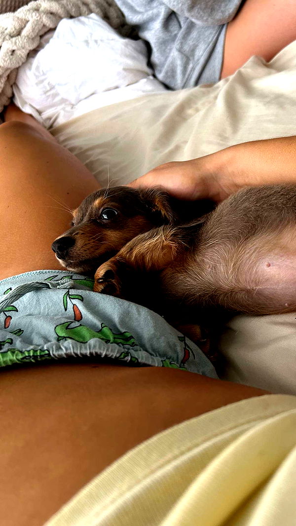 fionamaefit image ~ Altpins