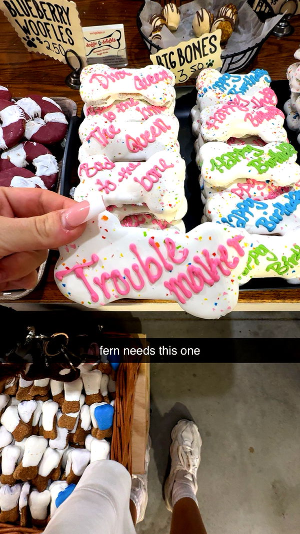 fionamaefit image ~ Altpins