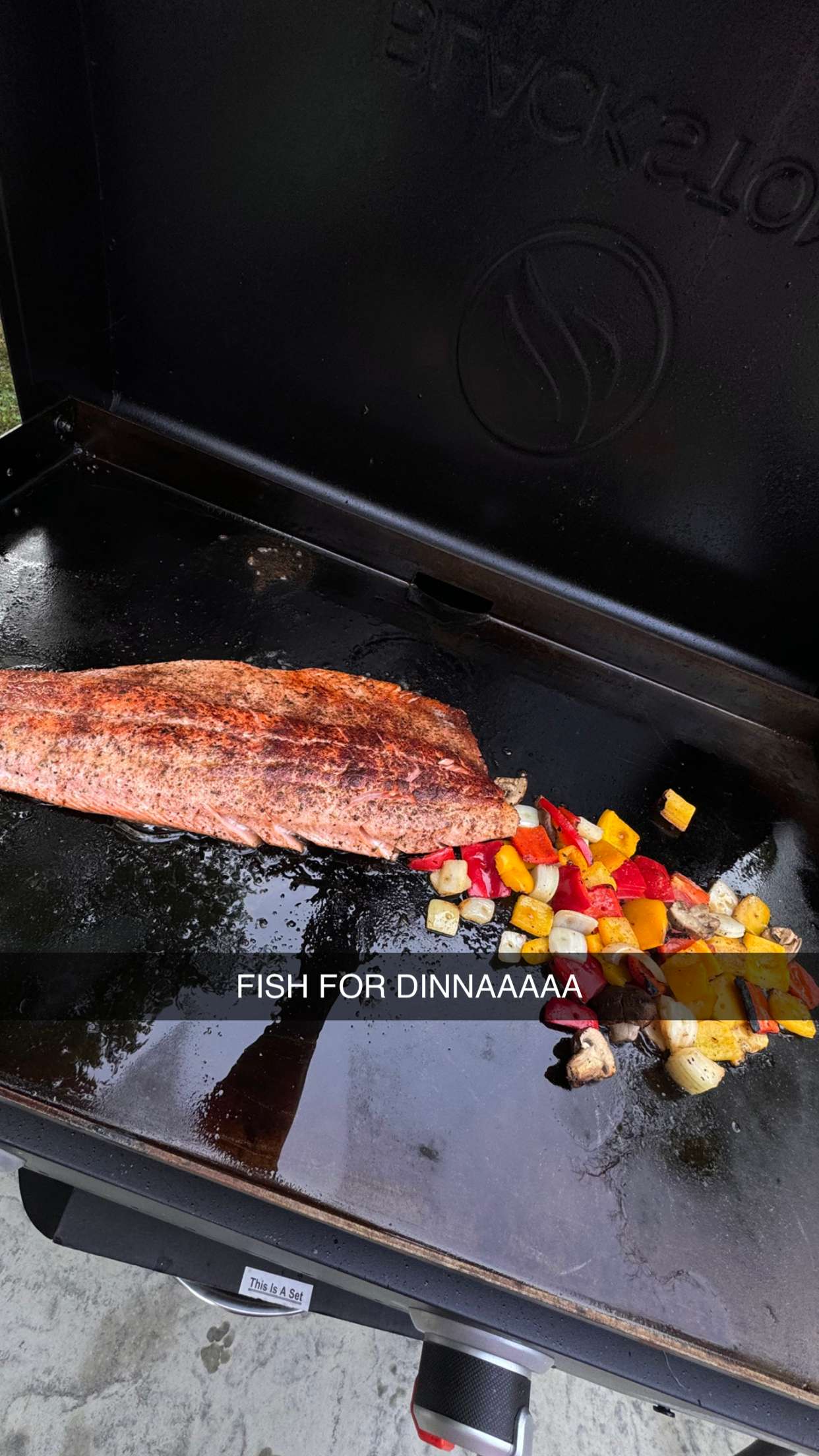 fionamaefit snapchat image archive image