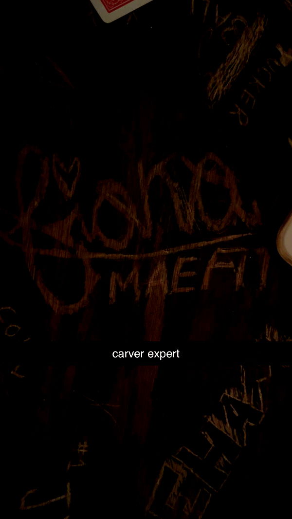 fionamaefit image ~ Altpins